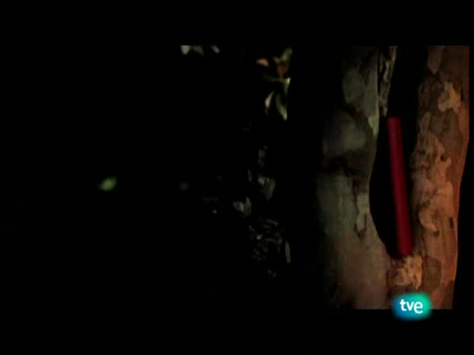 Página 2 - 14/12/08 - Página Dos | Ver