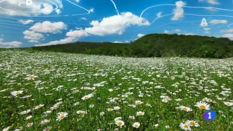 El tiempo en Cantabria - 25/05/16