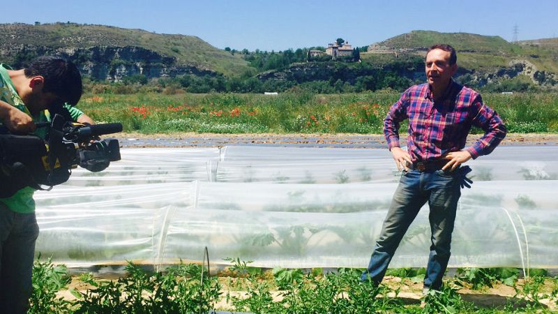 Aquí la tierra - Su Majestad la lechuga