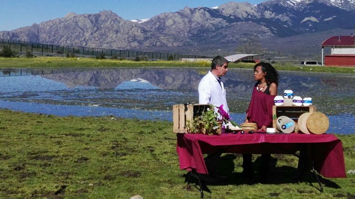 Aquí la Tierra - Queso Brie a la española