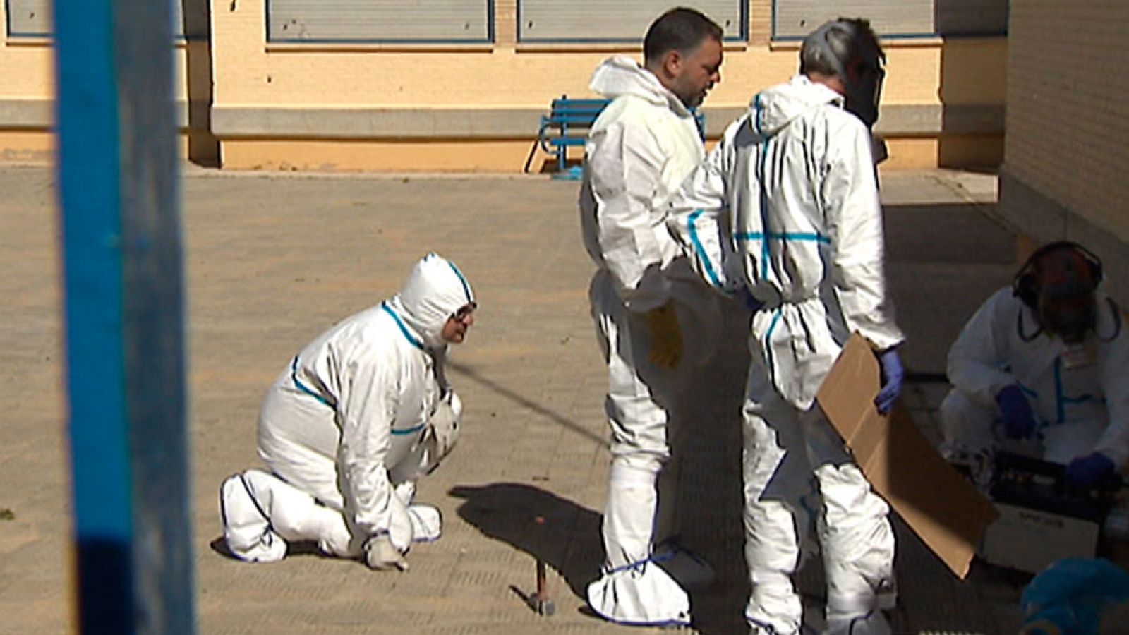 Dos colegios de Sevilla han tenido que cerrar sus puertas debido a una plaga de pulgas