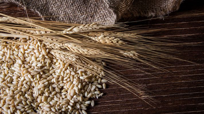 Telediario 1 - Los celiacos calculan que se gastan unos 100 euros más al mes en la cesta de la compra