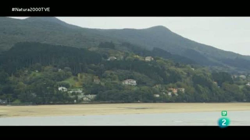 El refugio de Eunate y Eneko en Urdaibai