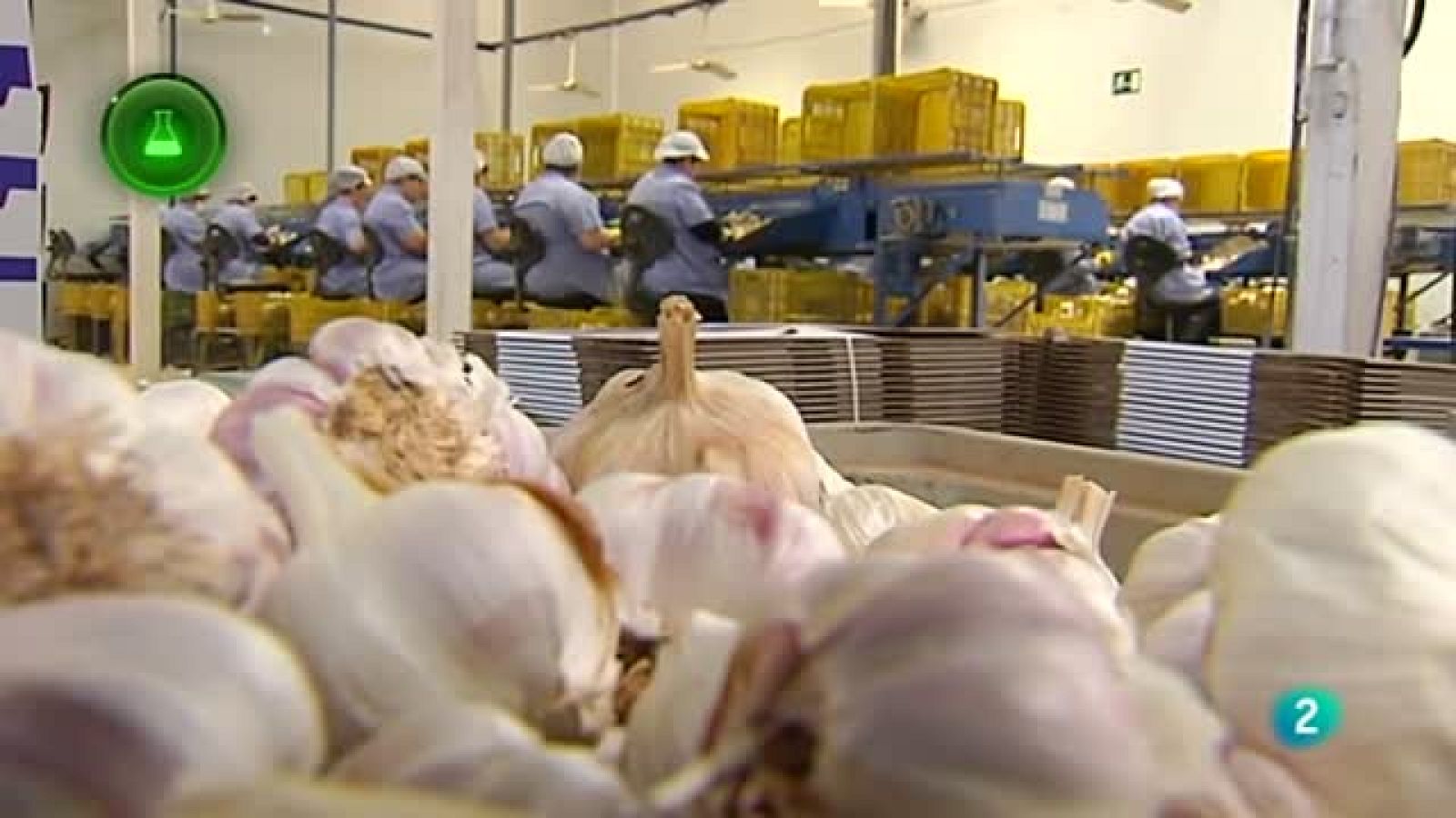 Agrosfera - Laboratorio de ideas - Coopaman