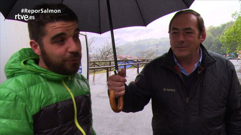 Donde hay espuma en el río hay salmones