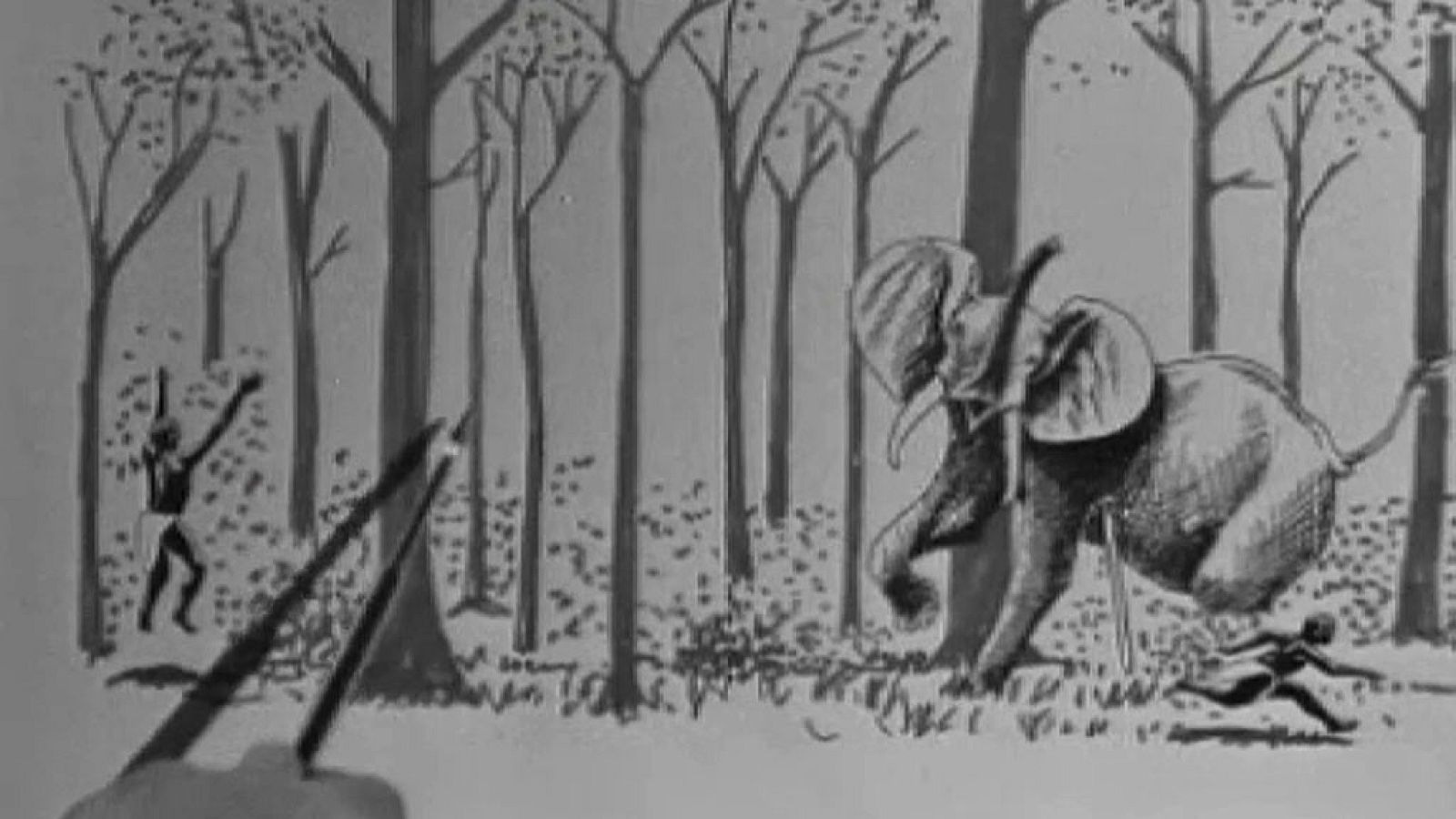 El planeta azul - Los pigmeos