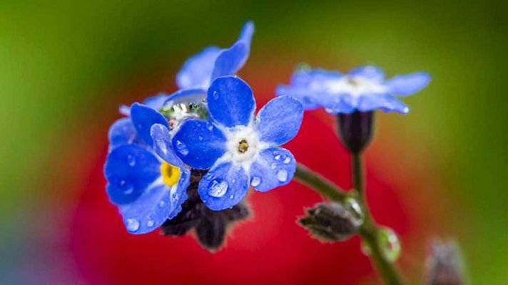 Informativo de Madrid - El Tiempo en la Comunidad de Madrid - 30/05/16