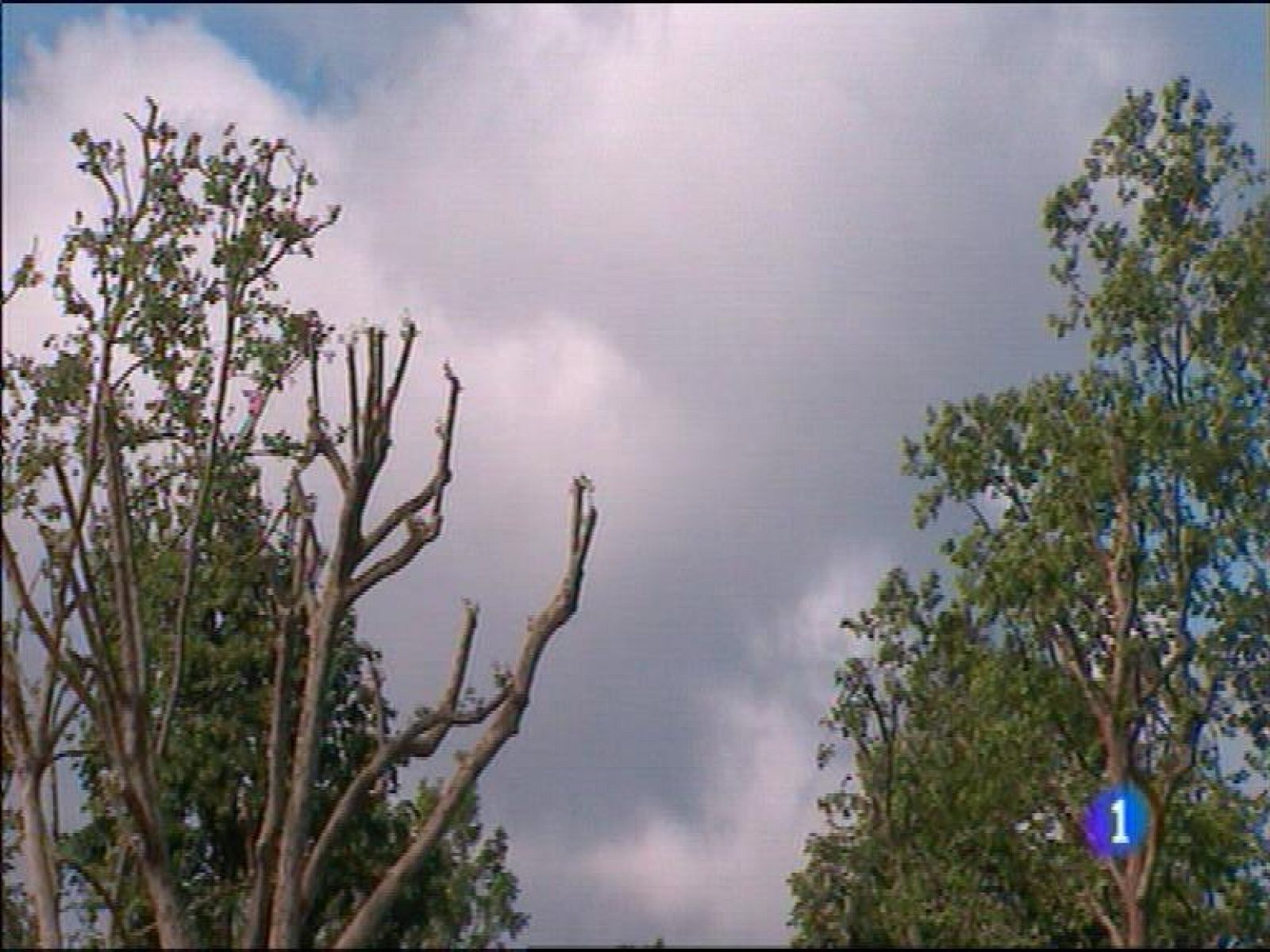 El tiempo en Asturias - 30/05/16 | Ver