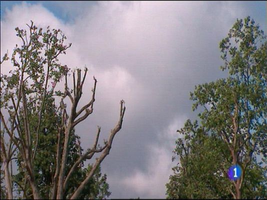 Panorama Regional - El tiempo en Asturias - 30/05/16