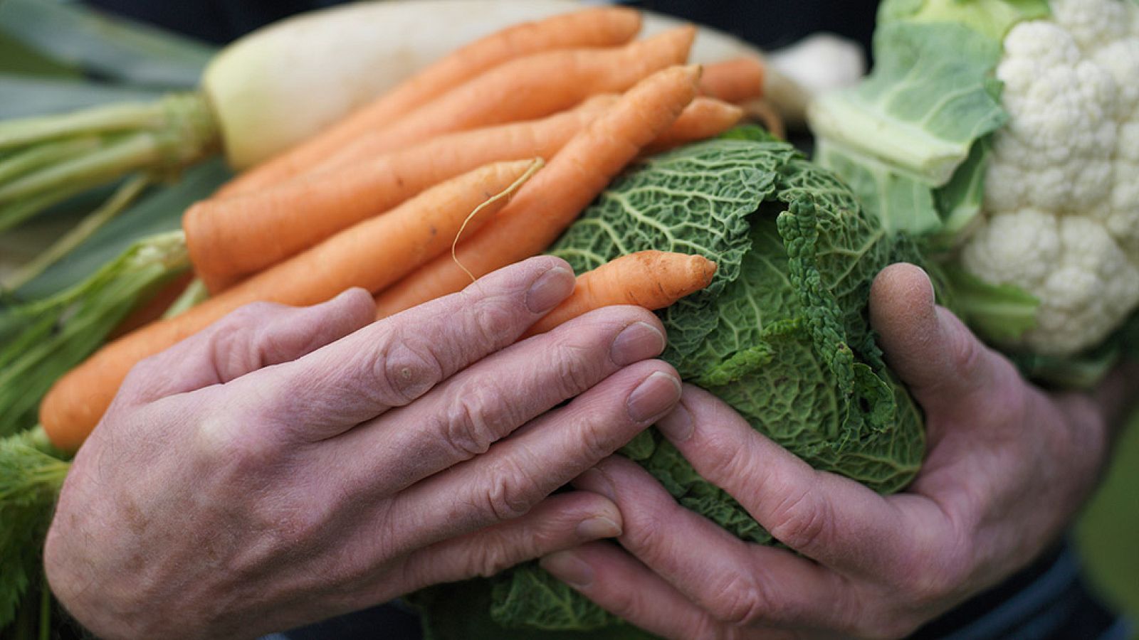 'Foodcoaching', la nueva tendencia para cambiar hábitos alimentarios