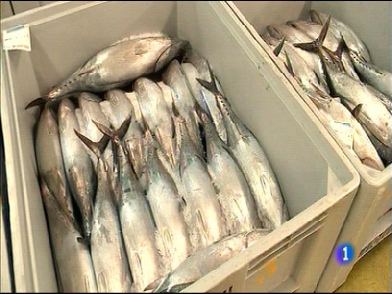 Panorama Regional 2 - 30/05/16 | Ver