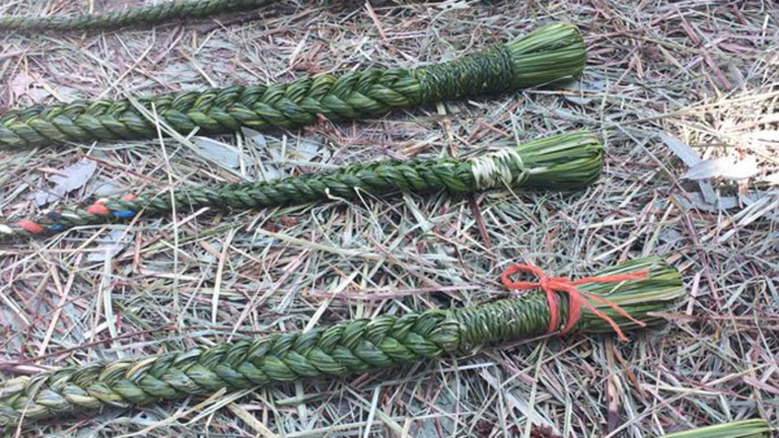 El rugido de la cachiporra