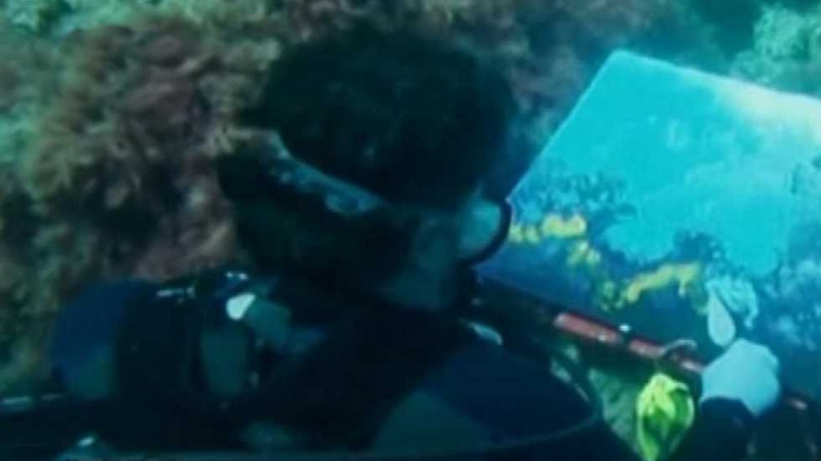 TVEmos Express - 30/05/16 - ver ahora