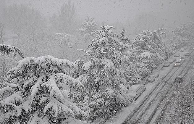 El tiempo - El Tiempo - 15/12/08