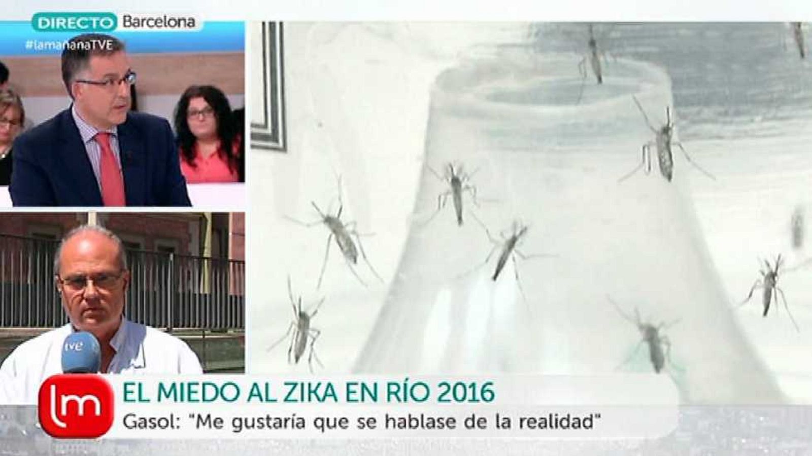 La Mañana - 31/05/16 - Ver ahora