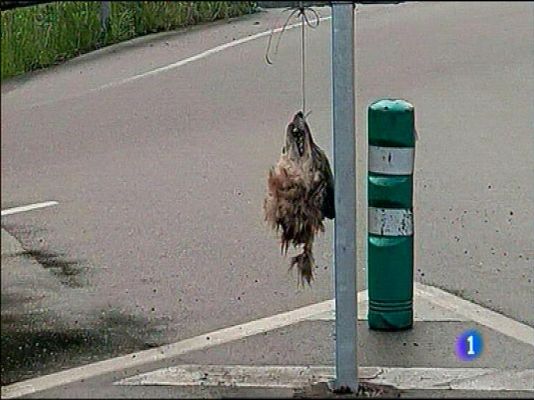 Panorama Regional - Panorama Regional - 31/05/16