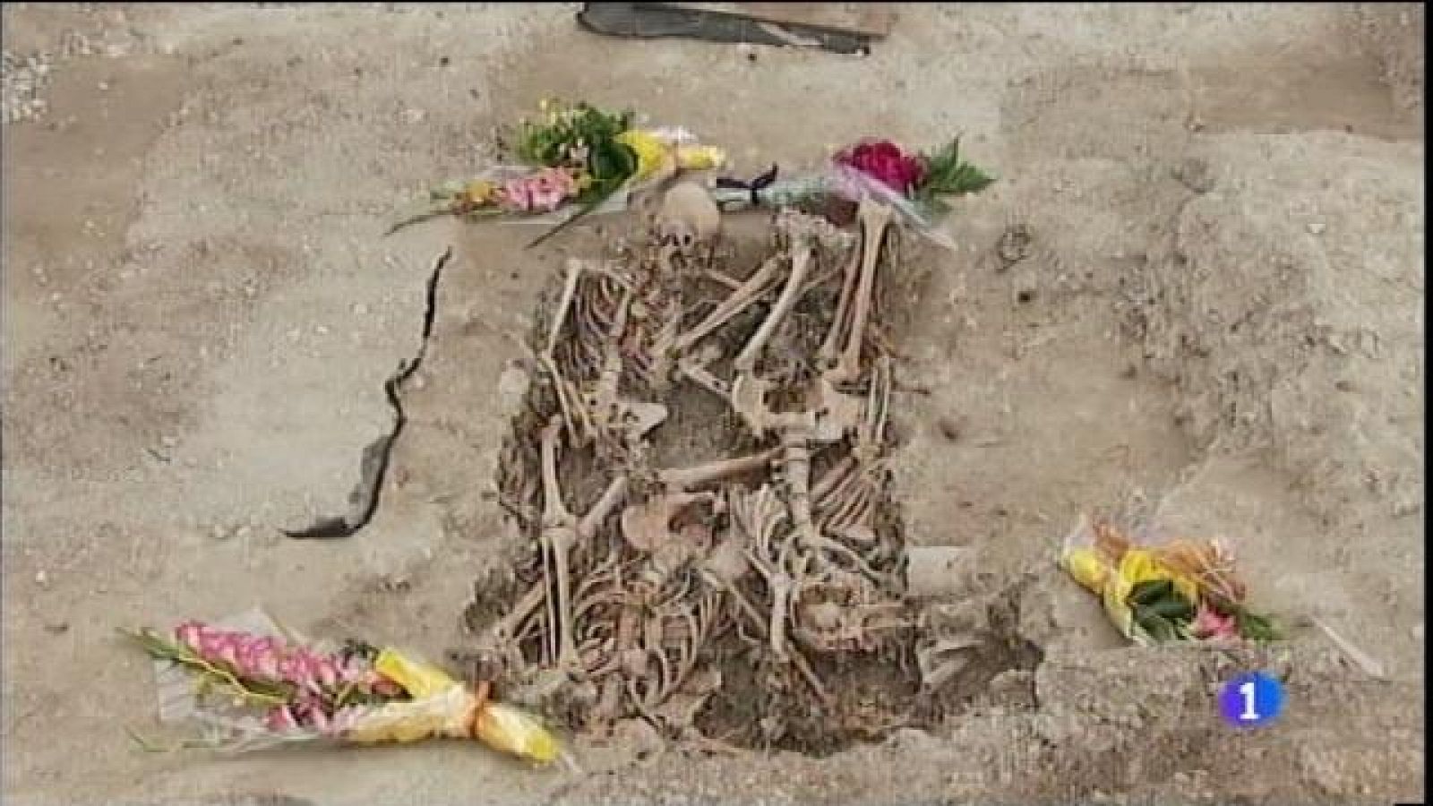 Aprovada per consens la Llei de Fosses