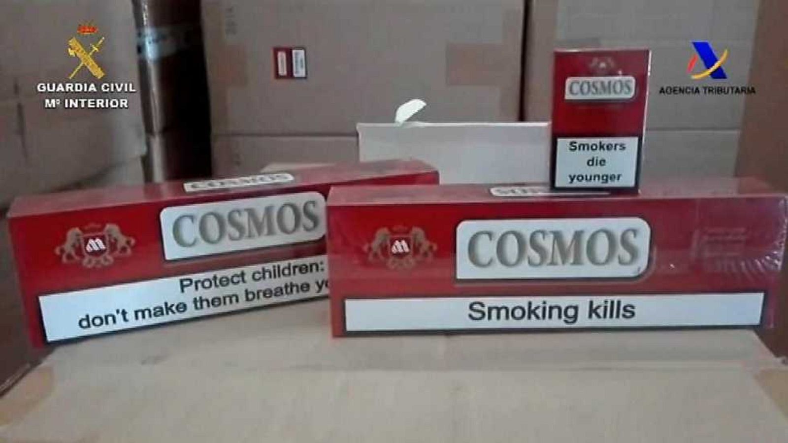 España en 24 horas - 31/05/16 - ver ahora