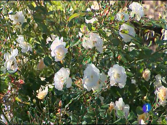 Panorama Regional - El tiempo en Asturias - 01/06/16