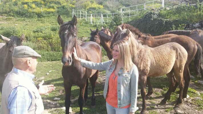 Aquí la Tierra - Pura raza, puro corazón