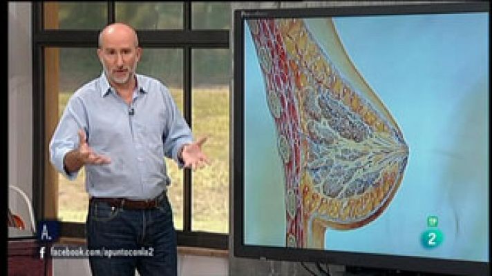 A punto con La 2 - Los mamíferos y la lactancia