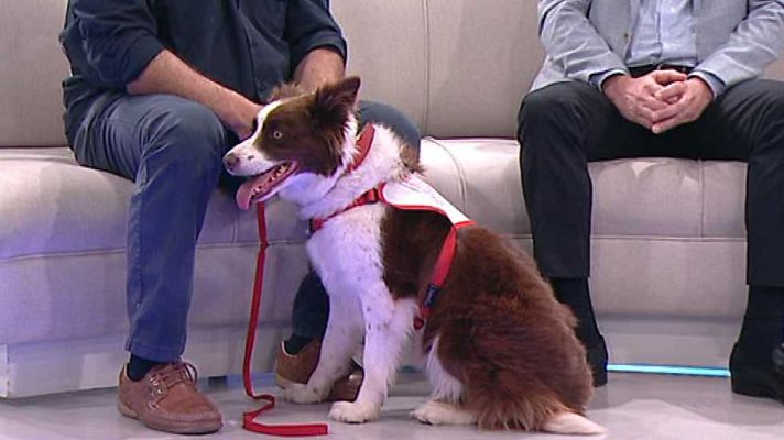 La mañana - La Mañana - 03/06/16