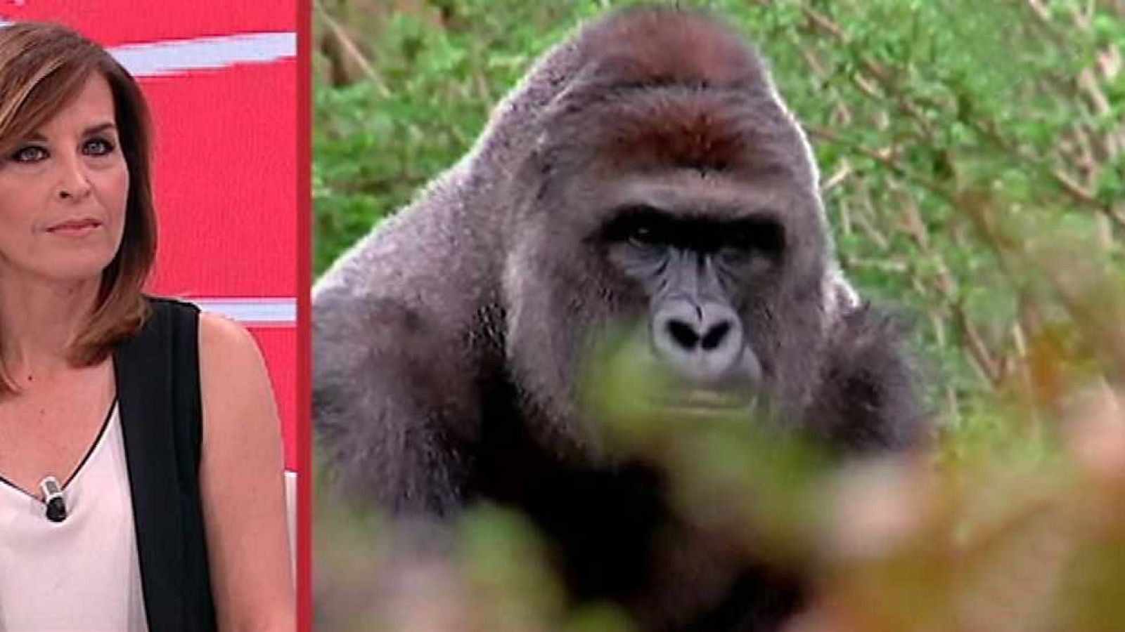 Amigas y conocidas - 03/06/16 - ver ahora