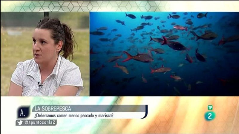 A punto con La 2 - Proyectos solidarios - La sobrepesca