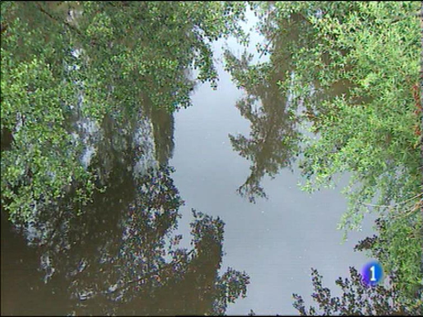 El tiempo en Asturias - 03/06/16 | Ver