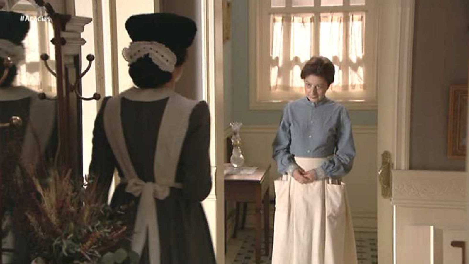 Acacias 38 - Capítulo 292 - ver ahora