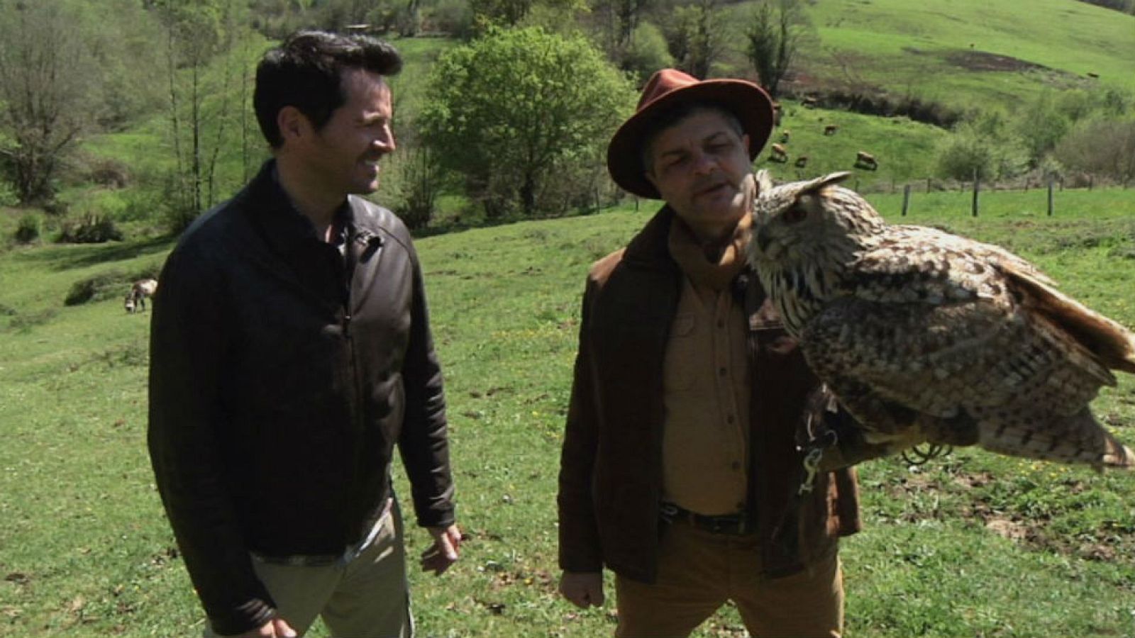 Búho real, duende de la noche