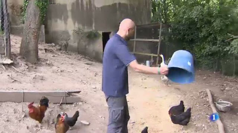 Sabeu què és el woofing?