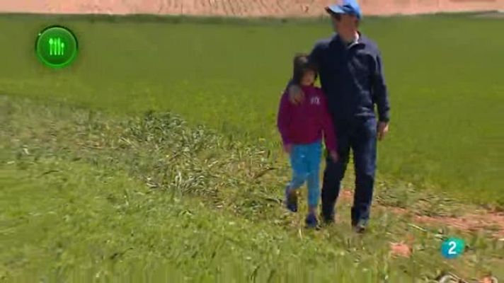 Agrosfera - Legumbres FAO