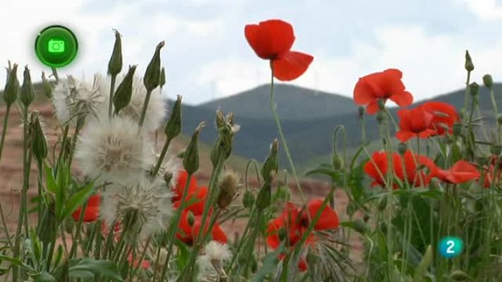 Agrosfera - Torralba de Ribota (Zaragoza)