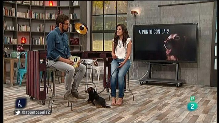 A punto con La 2 - Los perros y los ruidos