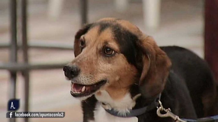 A punto con La 2 - A punto con La 2 - 06/06/16