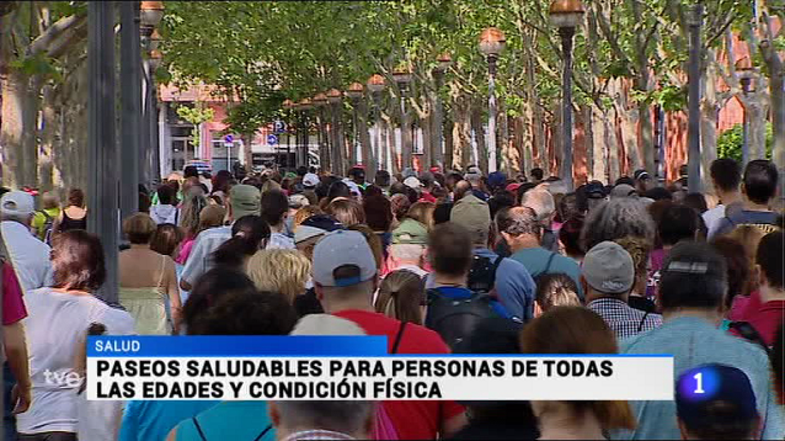 Informativo Telerioja - 06/06/16