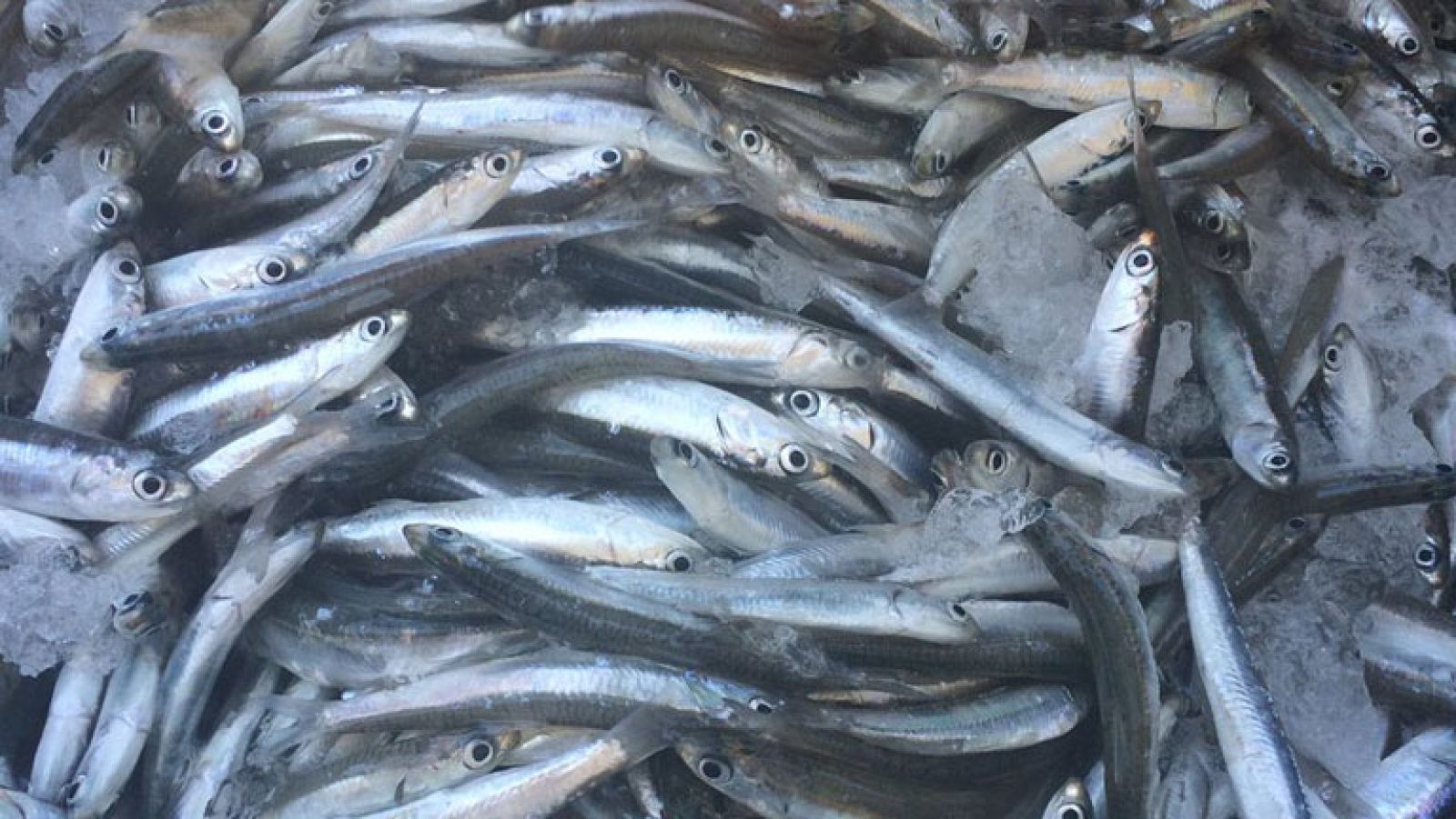 El Puerto de Bonanza, cruce de caminos