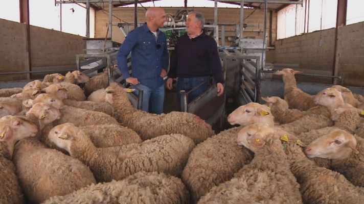 Aquí la Tierra - Ordeño mecánico ¿tarea fácil?