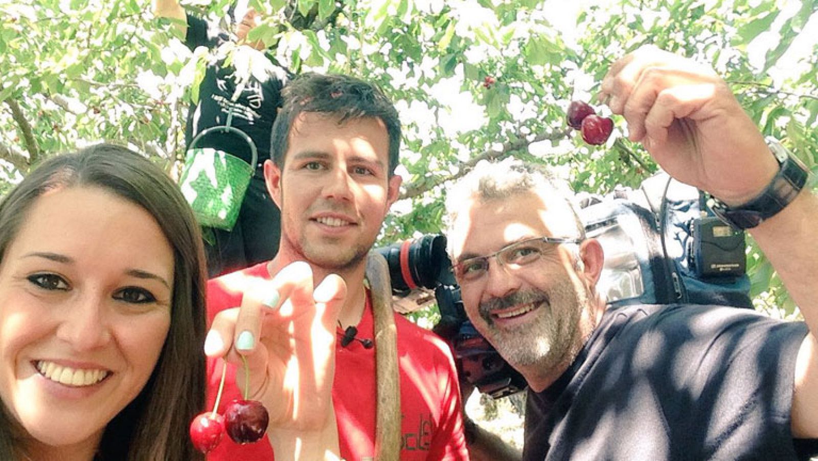 Temporada de cerezas