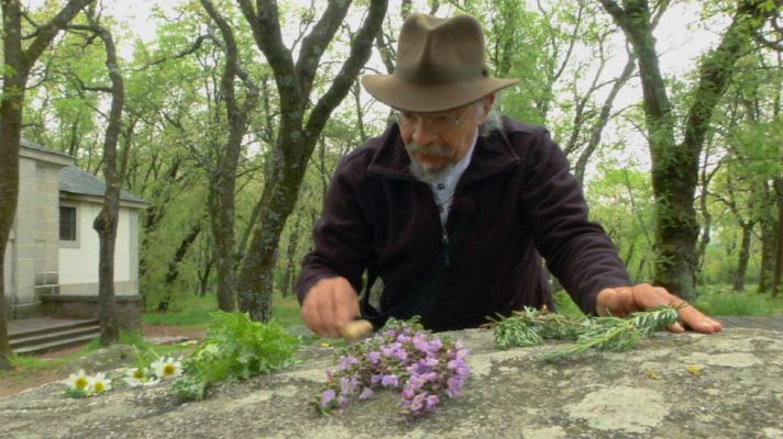 Aquí la Tierra - Remedios naturales contra el mareo