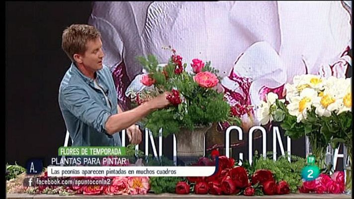 A punto con La 2 - Plantas para pintar