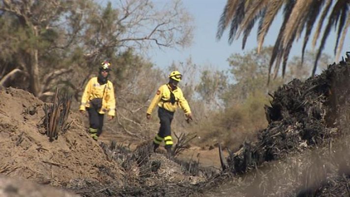 Telecanarias - Canarias en 2' - 07/06/2016