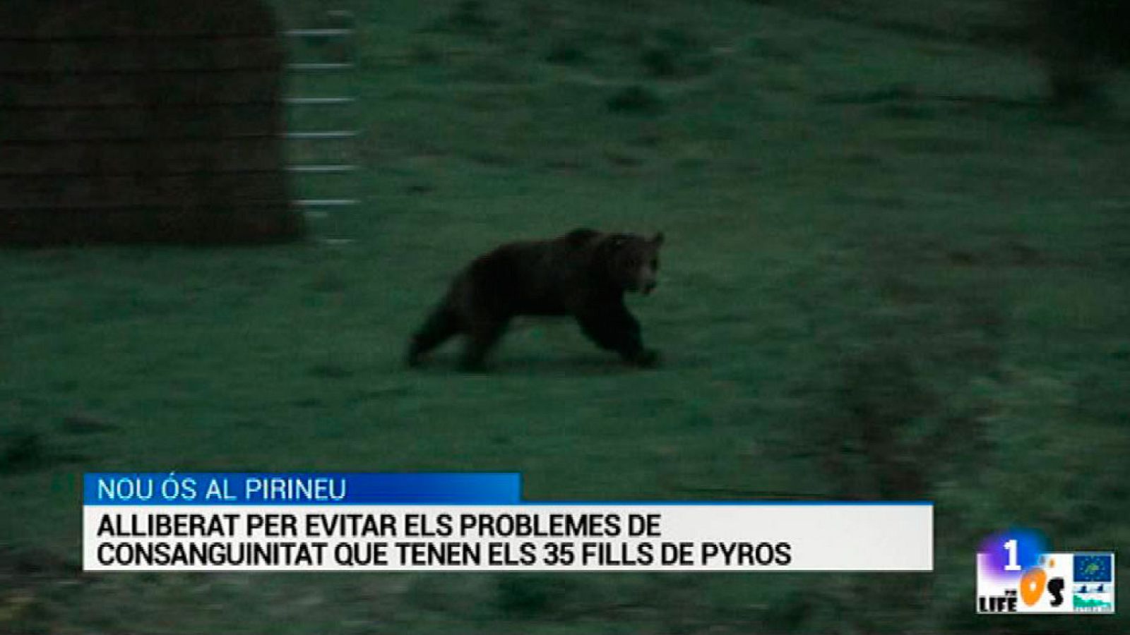 L'Informatiu 2 - 07/06/2016