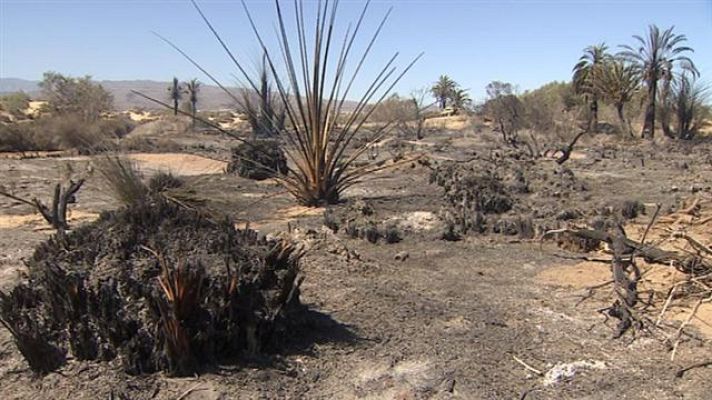 Telecanarias - Telecanarias - 07/06/2016