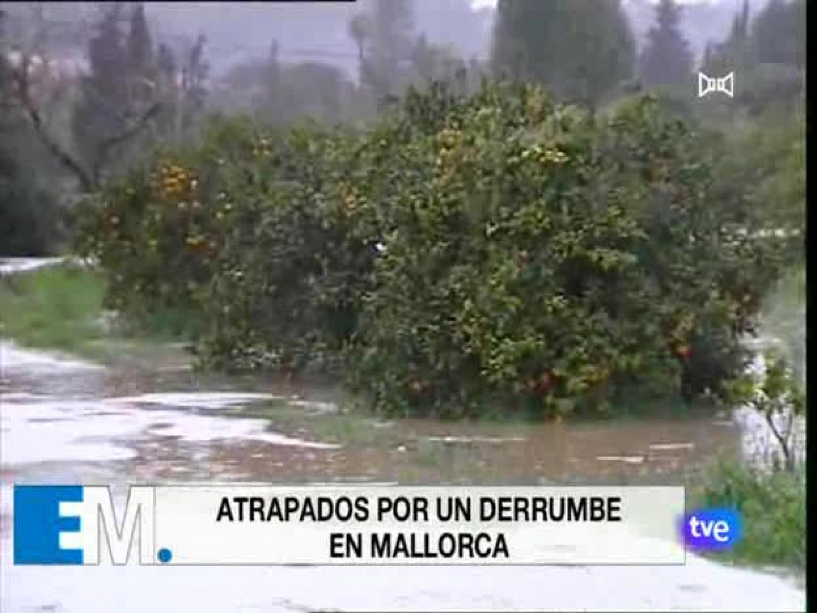 Esta mañana - 16/12/08 - Esta mañana | Ver