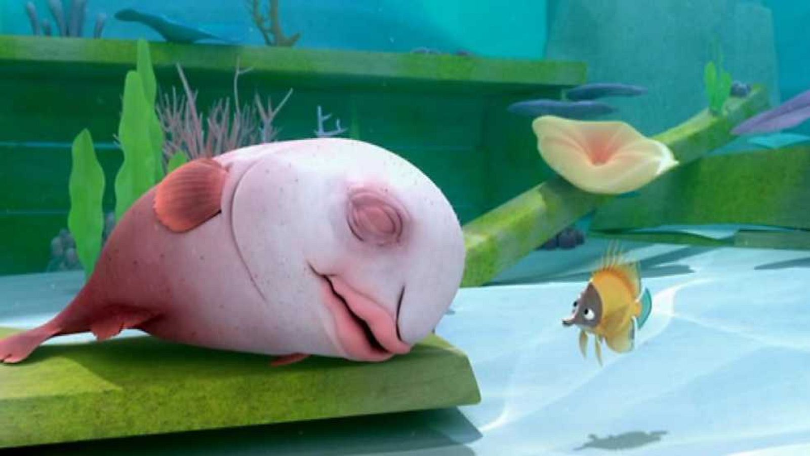 El enfermo imaginario - Sammy y compañía | Ver