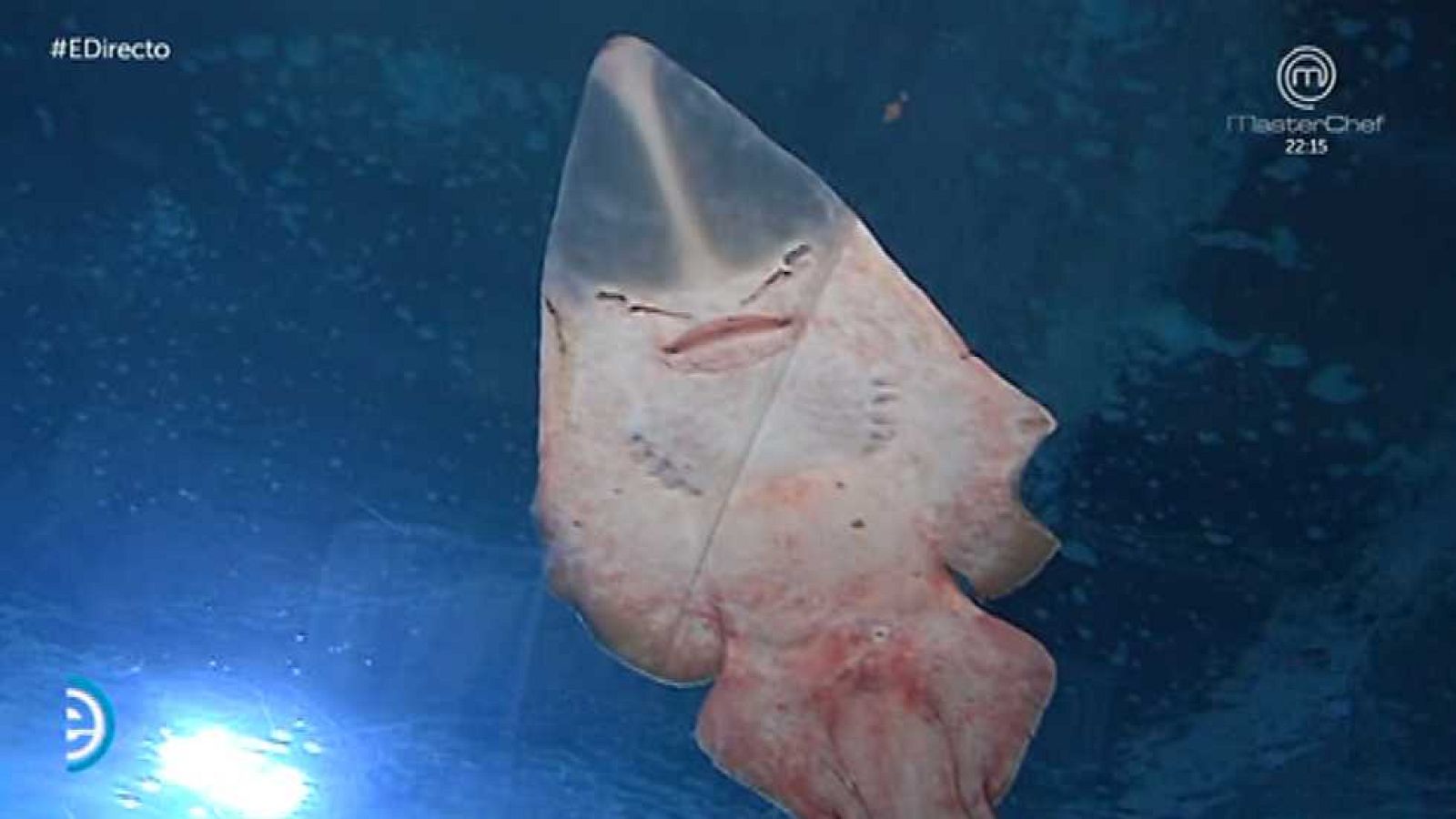 España Directo - 08/06/16 - ver ahora