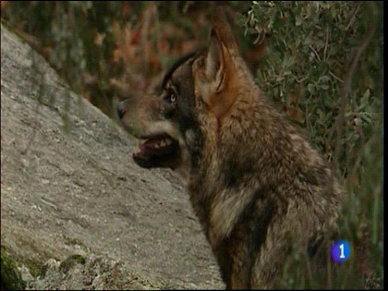 Panorama Regional 2 - 09/06/16 | Ver