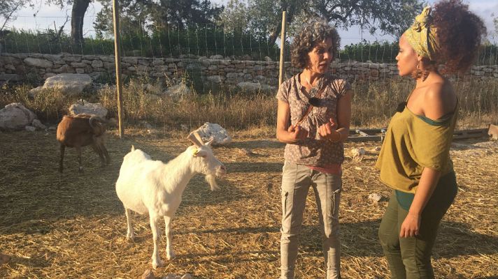  - Queso con sabor mediterráneo